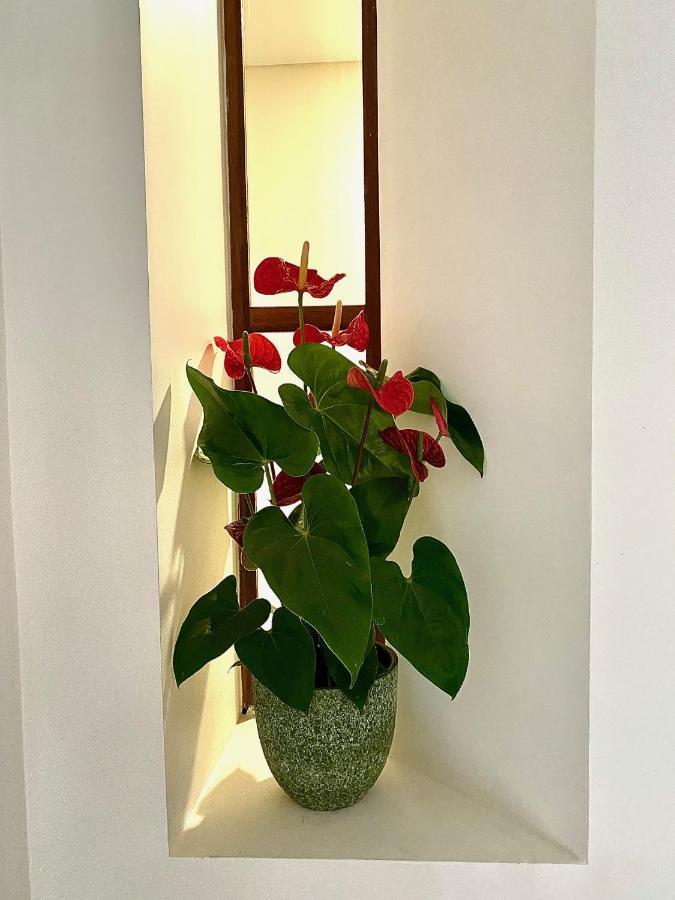 Douro B&B Avenida Резенде Экстерьер фото